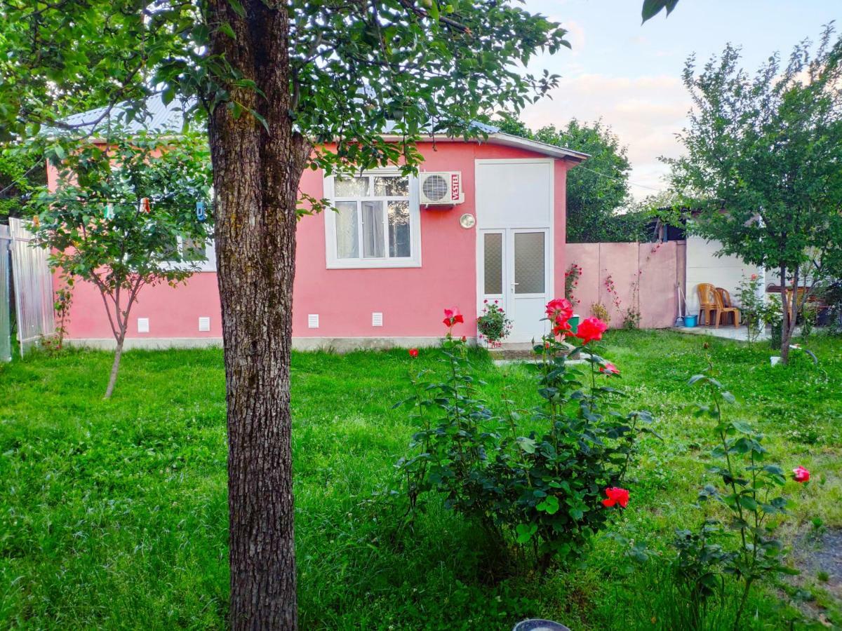 Qafqaz Resort Family House Gabala Exterior foto